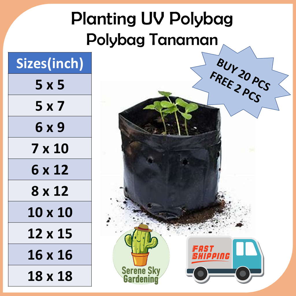 Clearance Sale - SS Gardening Polybag for Plants Polibag untuk Tanaman