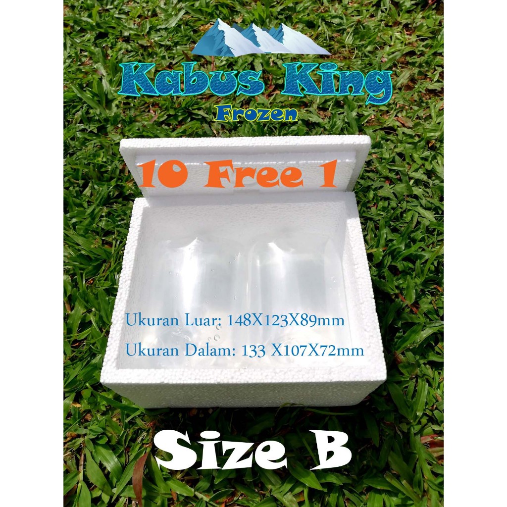 Kabus /Gabus/Styrofoam Box/ Foambox /Good Day Foam/Mini Box/Betta Box/Shipping Box/Ice Cream Box