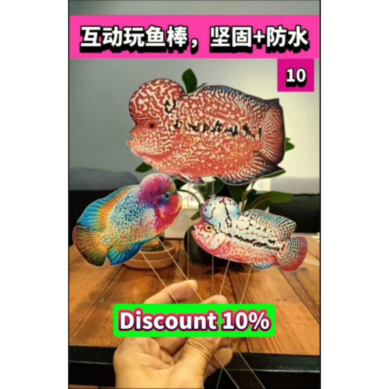 Grooming Flowerhorn Stick/ Flowerhorn toys/ bermain dengan ikan bagi dia active dan naik kepala 罗汉鱼 玩鱼棒 可以刺激鱼儿跟鱼互动