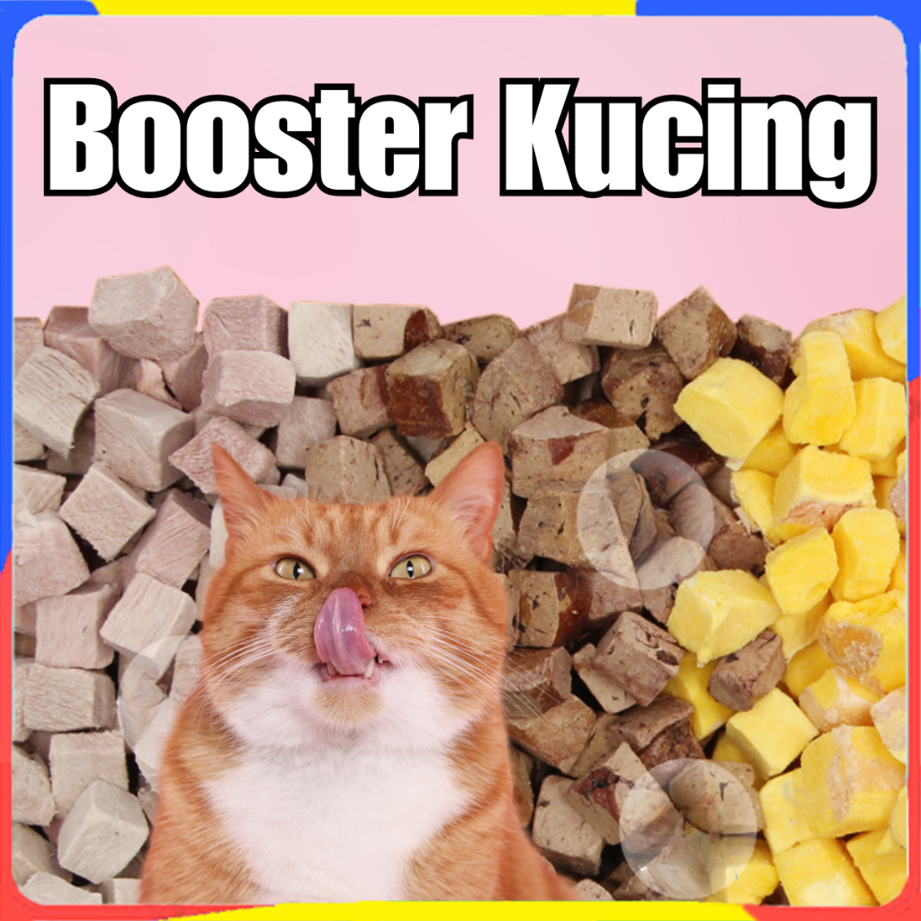 PETSEE Booster Gemuk Kucing Chicken Breast for Cat Freeze Dried Chicken Cube for Cat Booster Gemok