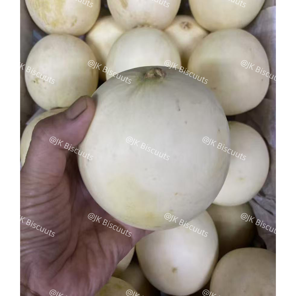 Rock Melon ( Honey dew ) , Tembikai Susu Mini Segar dan Manis, 新鲜&香甜  牛奶哈密瓜  ???,JK Biscuits