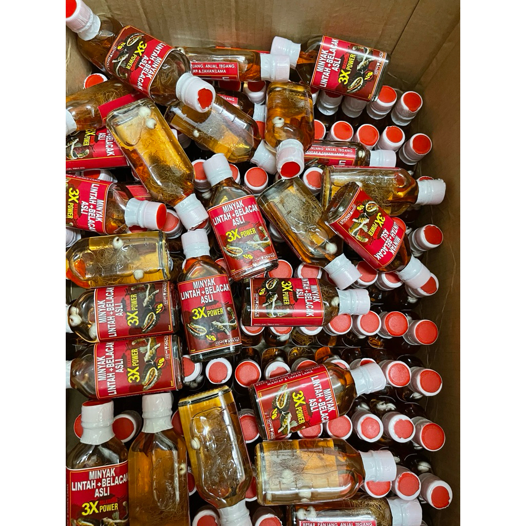 COD Ready Stock Minyak Urut Belacak Asli 3X Padu Besar Padat