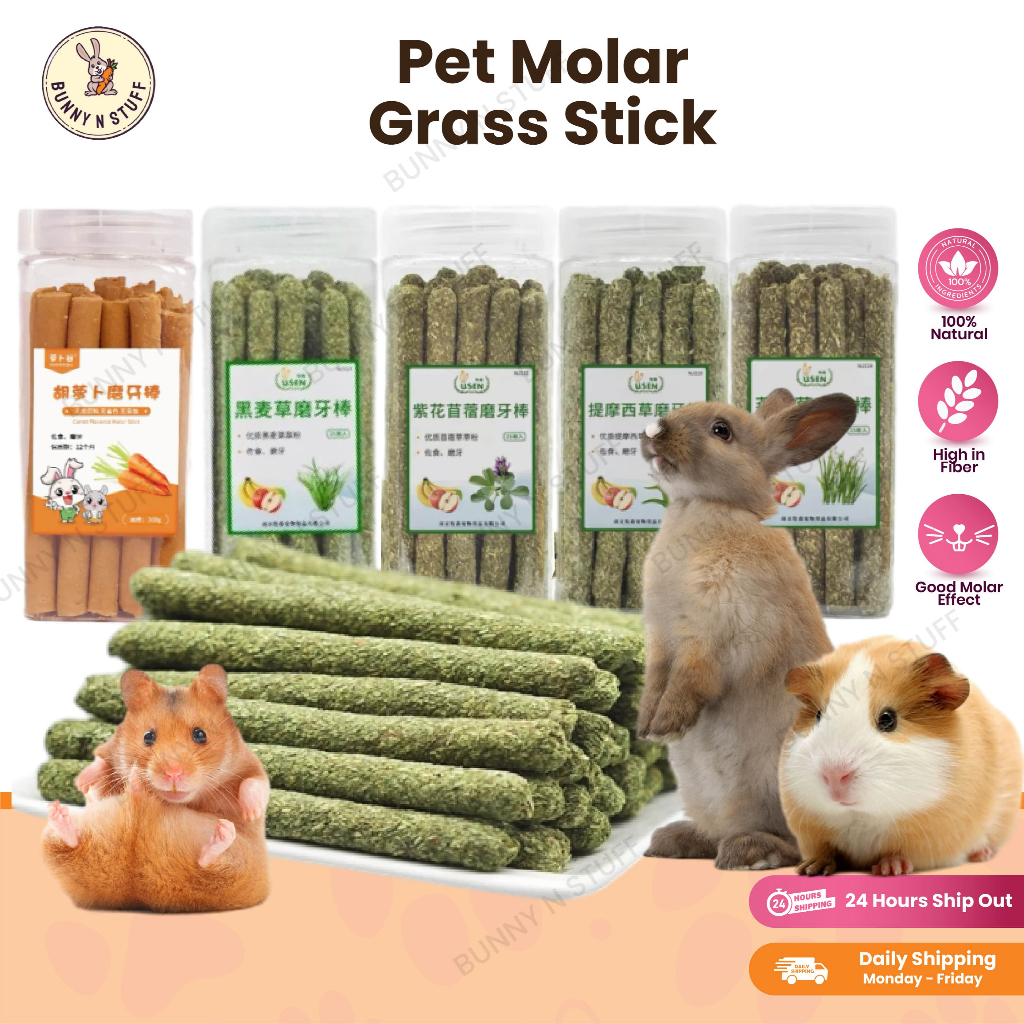 Pet Molar Grass Stick 25pcsTimothy Carrot Oat Fruit Orchard Small animal snacks chew toy stick Rabbit Food