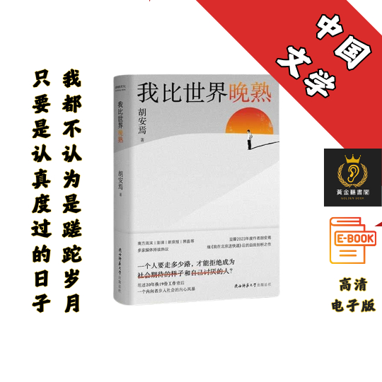 【揭示“底层”打工人的经历、见闻、思考和感受】《我比世界晚熟》 Chatgpt | GoogleDrive