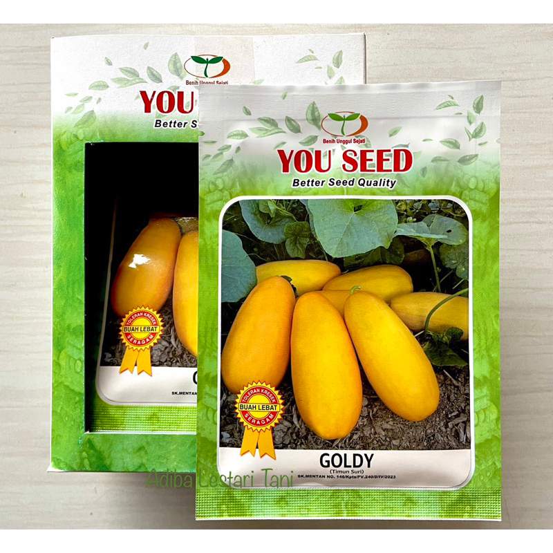 BENIH TIMUN BETIK KULIT KUNING -TIMUN SUSU - TIMUN SURI - TIMUN WANGI PACK 10 GRAM (500+ BIJI) KELUARAN YOU SEED