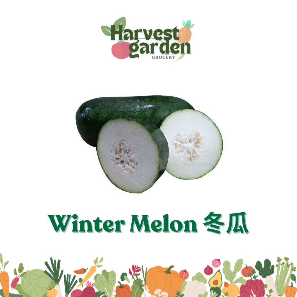 Fresh Winter Melon 冬瓜 (1.0 - 1.2KG+/-) Daily Fresh Vegetable