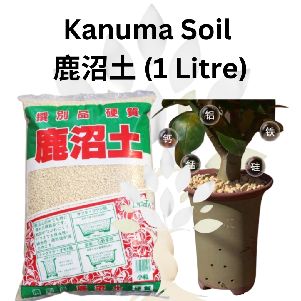 Kanuma Soil (1L/3.5L) Japanese Natural Low PH Soil Tanah Khas untuk Bonsai & Orkid 鹿沼土适合用于酸性植物