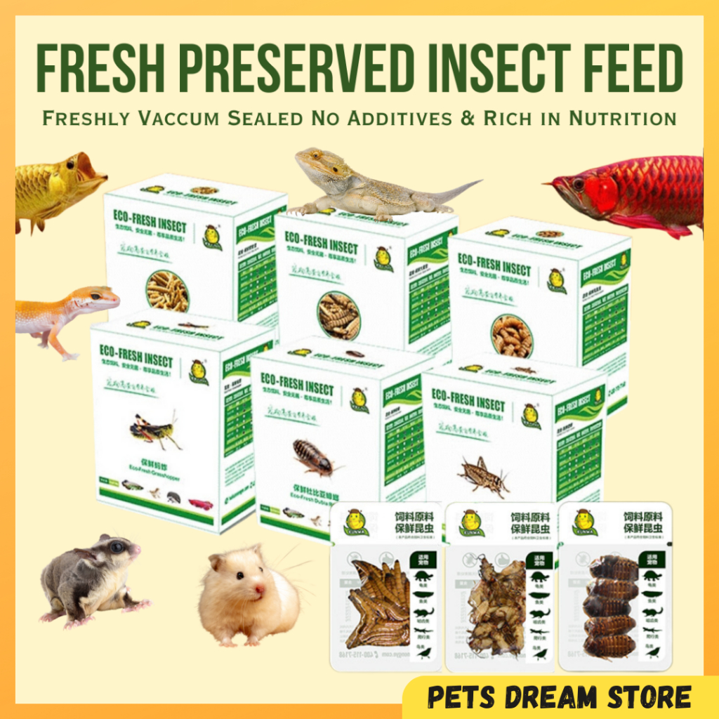 Eco-Fresh Insect Feeder Worm feed Reptile food fish feed Hamster treats Superworm Mealworm Cricket Sugar glider Snacks