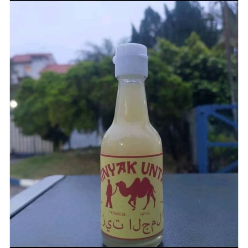 Minyak unta Oriiiiiii