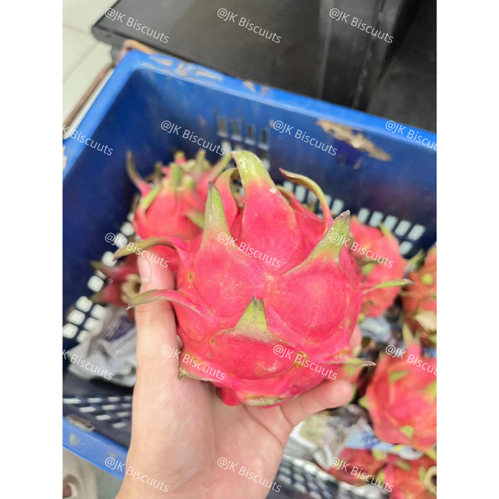 Dragon fruit，Buah Naga Merah，Organic Fresh & Manis；新鲜甜美 火龙果,JK Biscuits, Bidor , 现货
