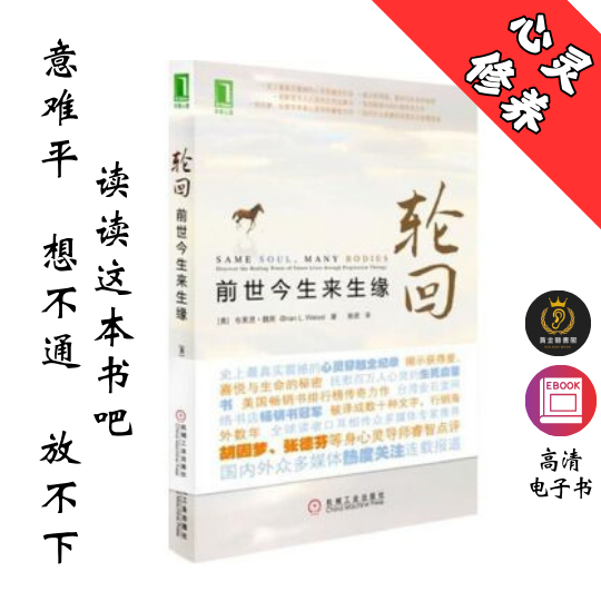 【揭开生命的多种可能性，帮助每个人思考并解决生命中的重大课题】《轮回：前世今生来生缘》 Chatgpt | GoogleDrive | AI | deepseek