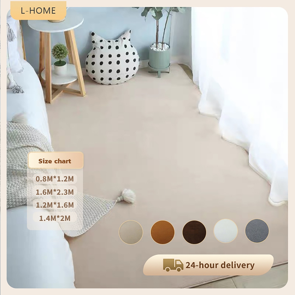 Karpet Bilik Tidur Karpet Bulu Coral Fleece Karpet Alas Katil Boleh Dicuci Karpet Bulu Pendek