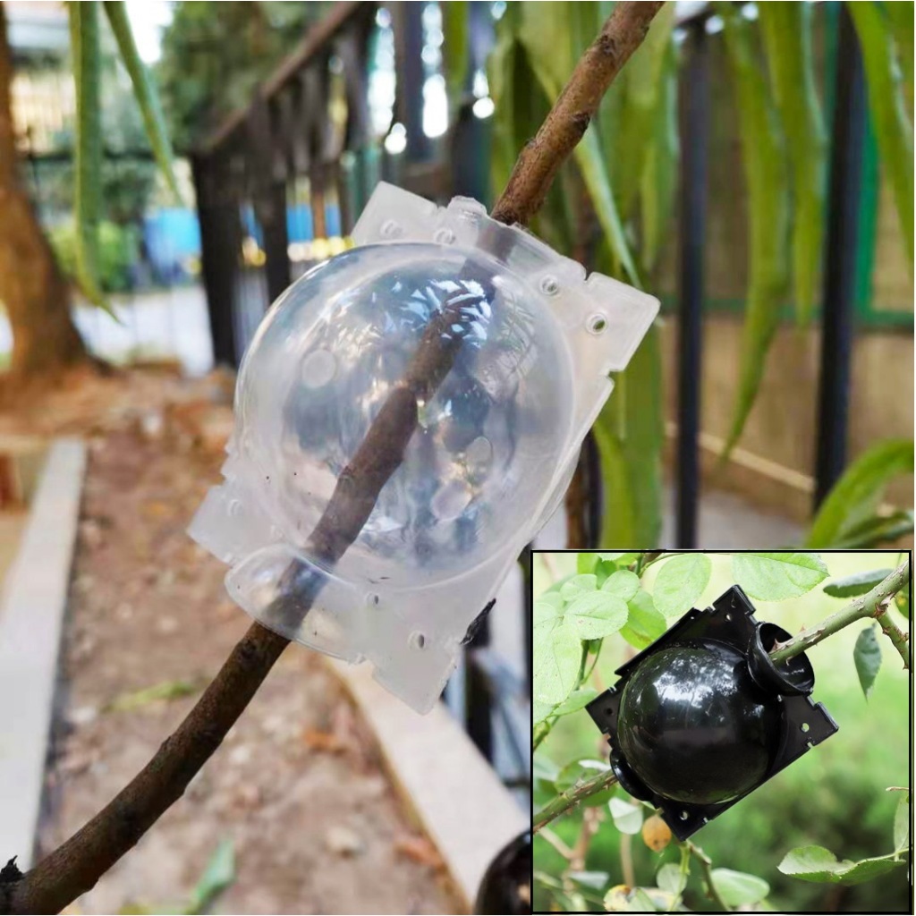 Bekas Acuan Tut Pokok Air Layering High Pressure Plant Rooting Ball Garden Fruit Tree Seedling Propagating