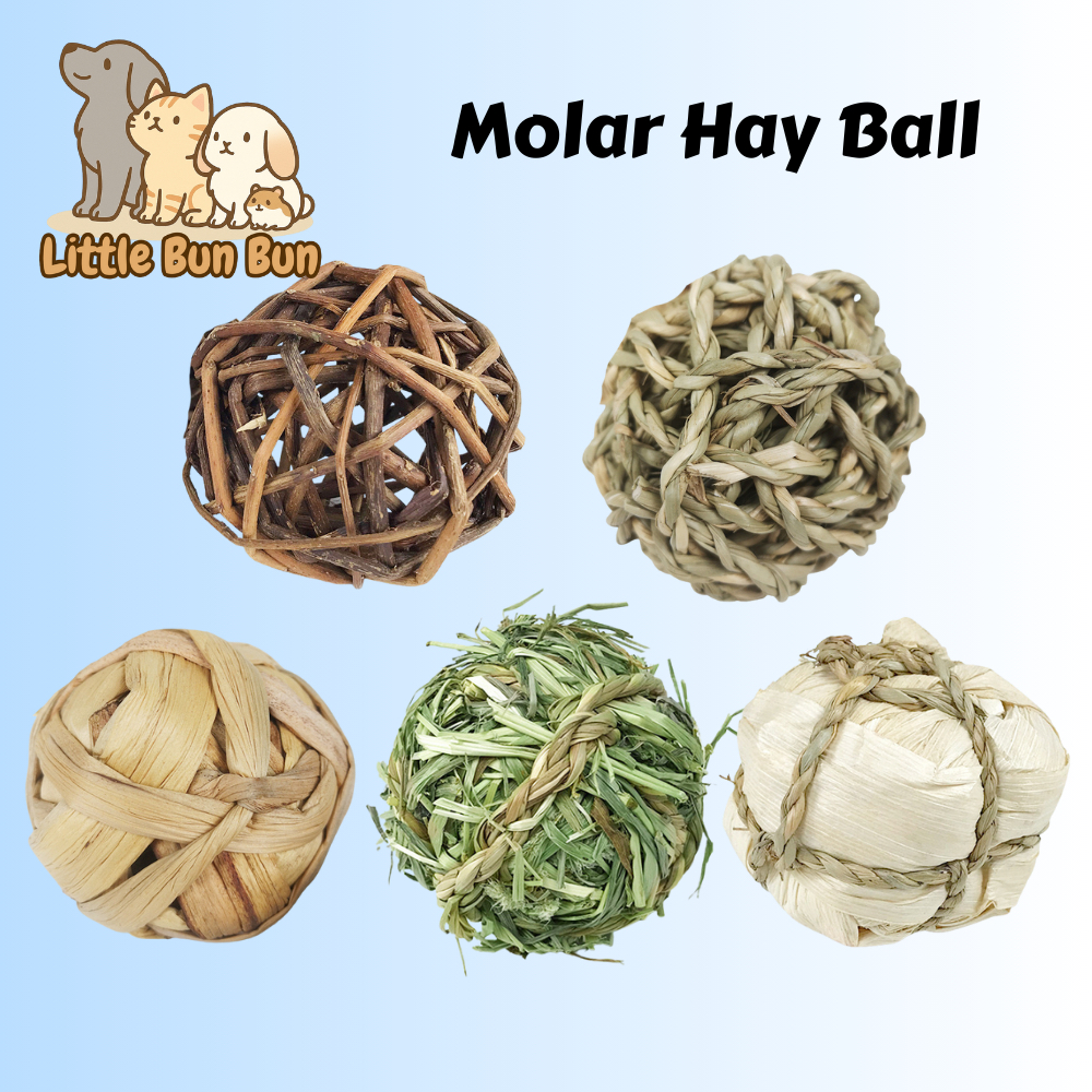 Molar ball ? rabbit hamster chinchilla guinea pig aquatic plant string chew bite toy play ball