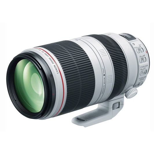 Canon EF 100-400mm F4.5-5.6L IS II USM Free Lenspen