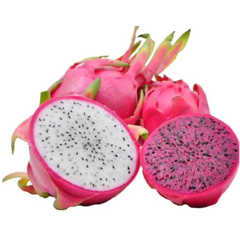 Sepang Red Dragon / Vietnam White Dragon Fruits 红色/白色火龙果 (3pcs)