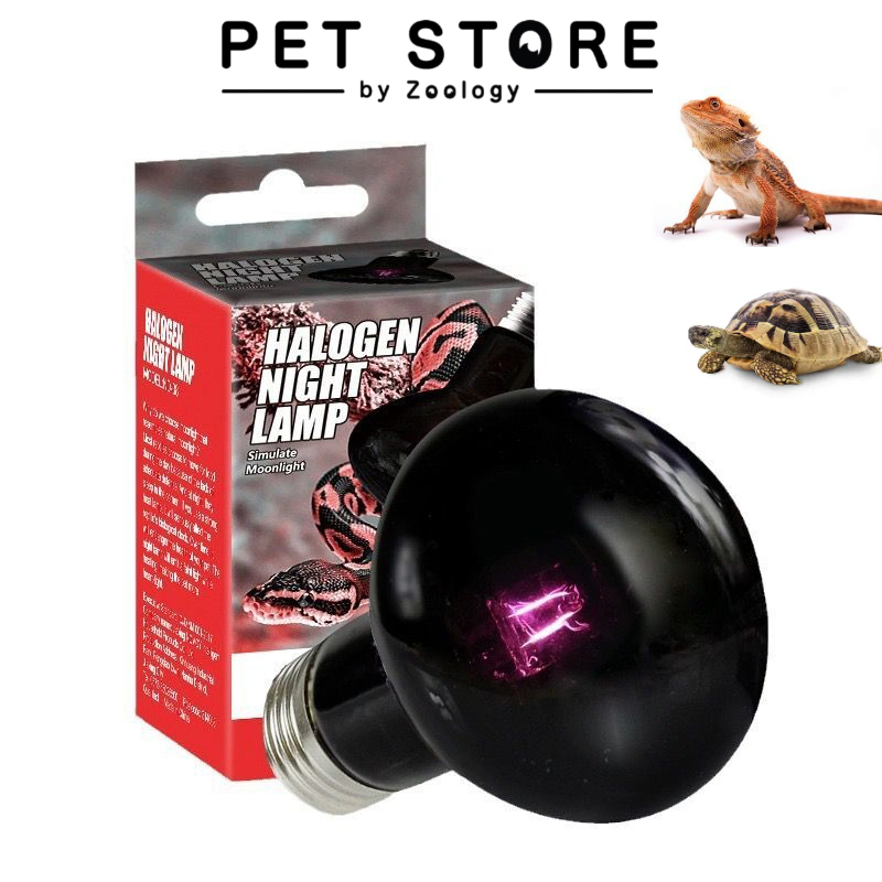Nomoy Reptile Halogan Night Heat Lamp 25W/50W/75W/100W Tortoise Night Lamp Bulb Moonlight Tropical Reptile Night Heat