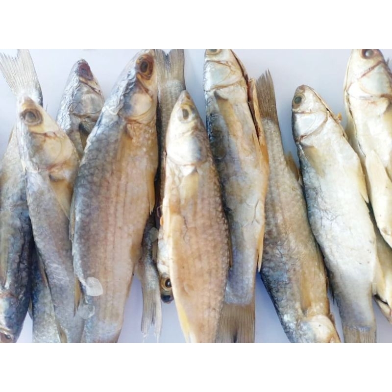 Ikan Belanak Kering|Masam (Buang Perut)✨