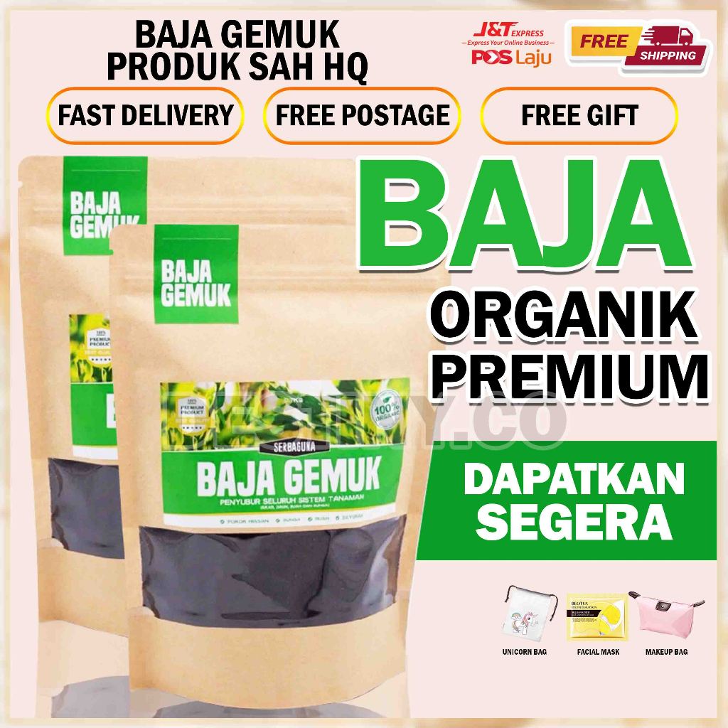 my-11134207-7rasl-m9mqaflqrsxg54 Orked Harimau - Grammatophyllum speciosum Blume