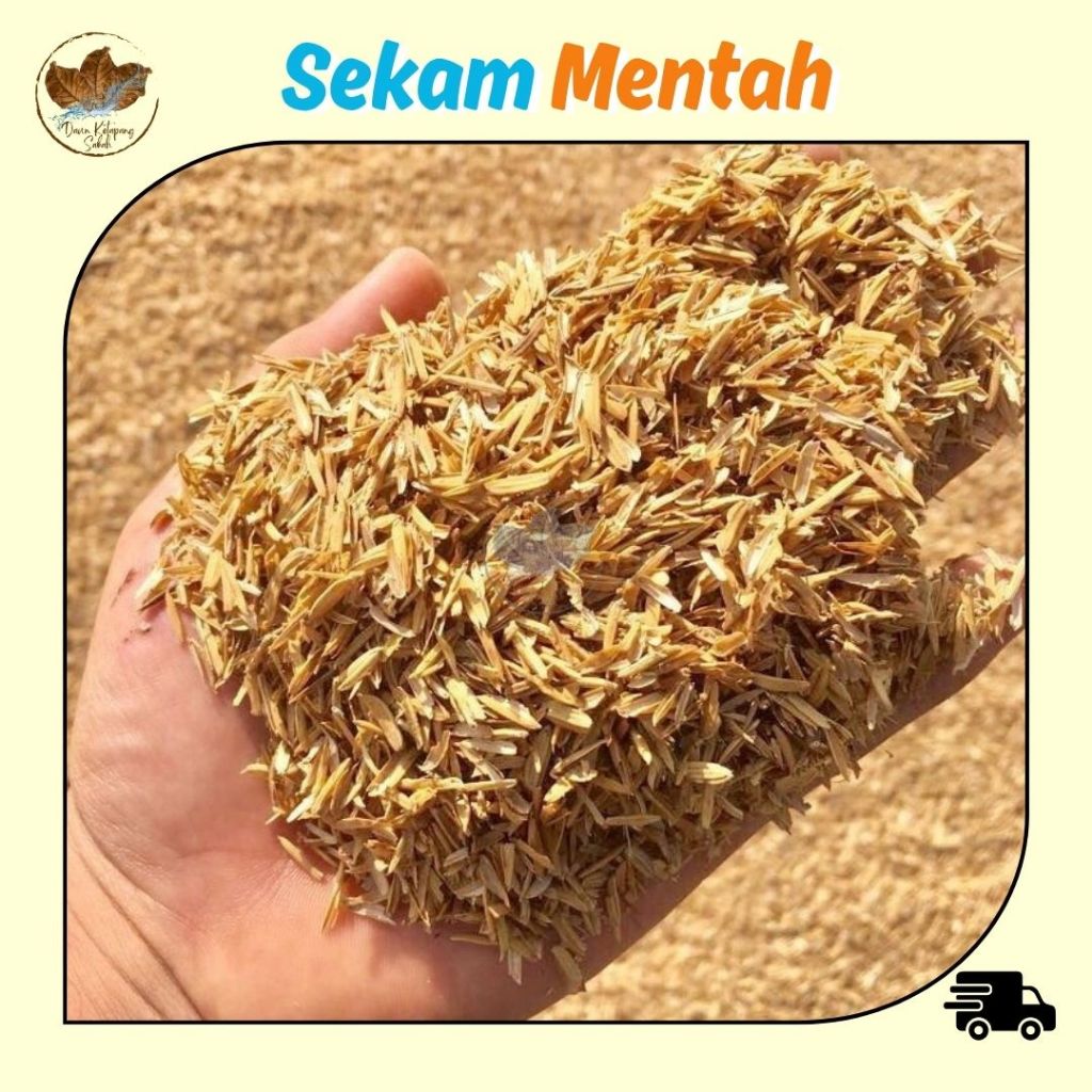 (20L) SEKAM PADI MENTAH/ RICE PADDY HUSK