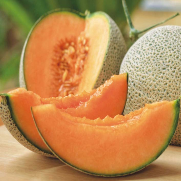 Fresh Sweet Honeydew Melon, Tembikai Wangi (Rockmelon) 1 Piece (2-3Kg)