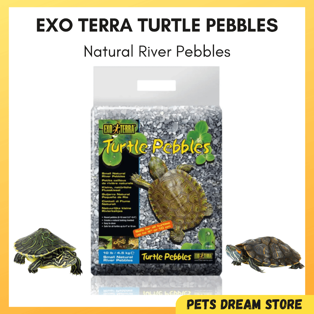 TURTLE PEBBLES NATURAL RIVER gravel Exo Terra Reptile Turtle rock stone Natural Habitat rock Tank Setup river waterfall