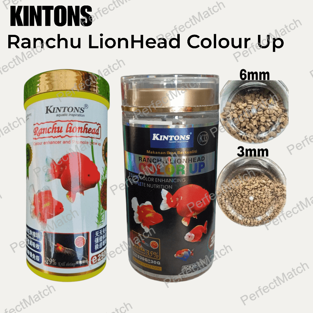 KINTONS RANCHU LIONHEAD colour enhancing Color Up 250G 330G | MAKANAN GOLD FISH Ikan Emas