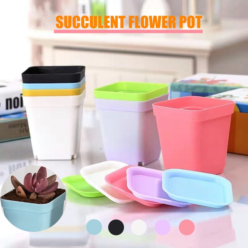 Pasu Seramik Sukkulen 8cm / Ceramic Succulent Pot with Drip Tray – Smooth Finish Multi-Colour Design