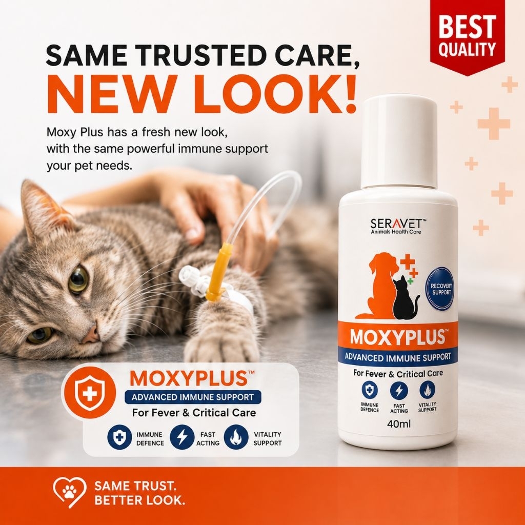 [ Mesti Cuba ] Kucing Demam, Parvo, Fever, Infection, & Immune Booster Suitable for Cat & Kitten - 40ml