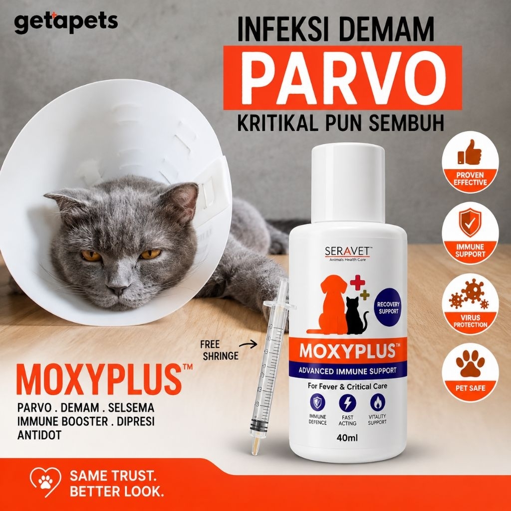Moxyplus Ubat Demam,Selsema, Parvo, Jangkitan Virus & Immune Booster Kucing & Anjing - 40ML