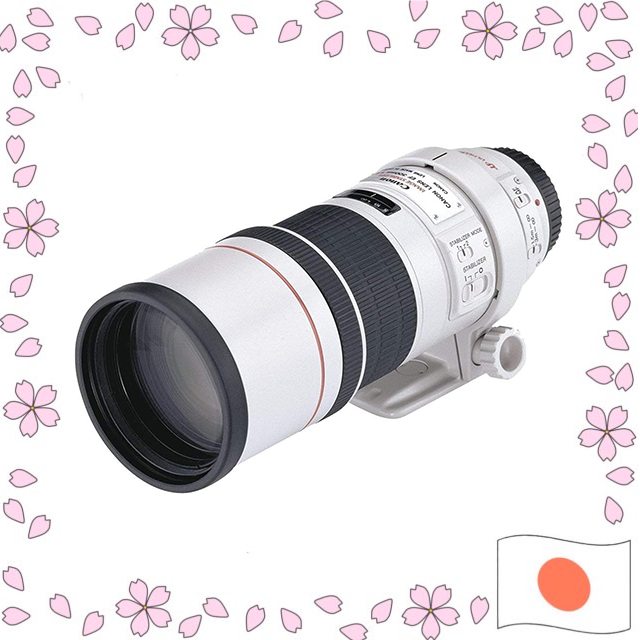Canon EF 300mm f/4L IS USM Telephoto Prime Lens for Full Frame USED【Directly shipped from Japan】