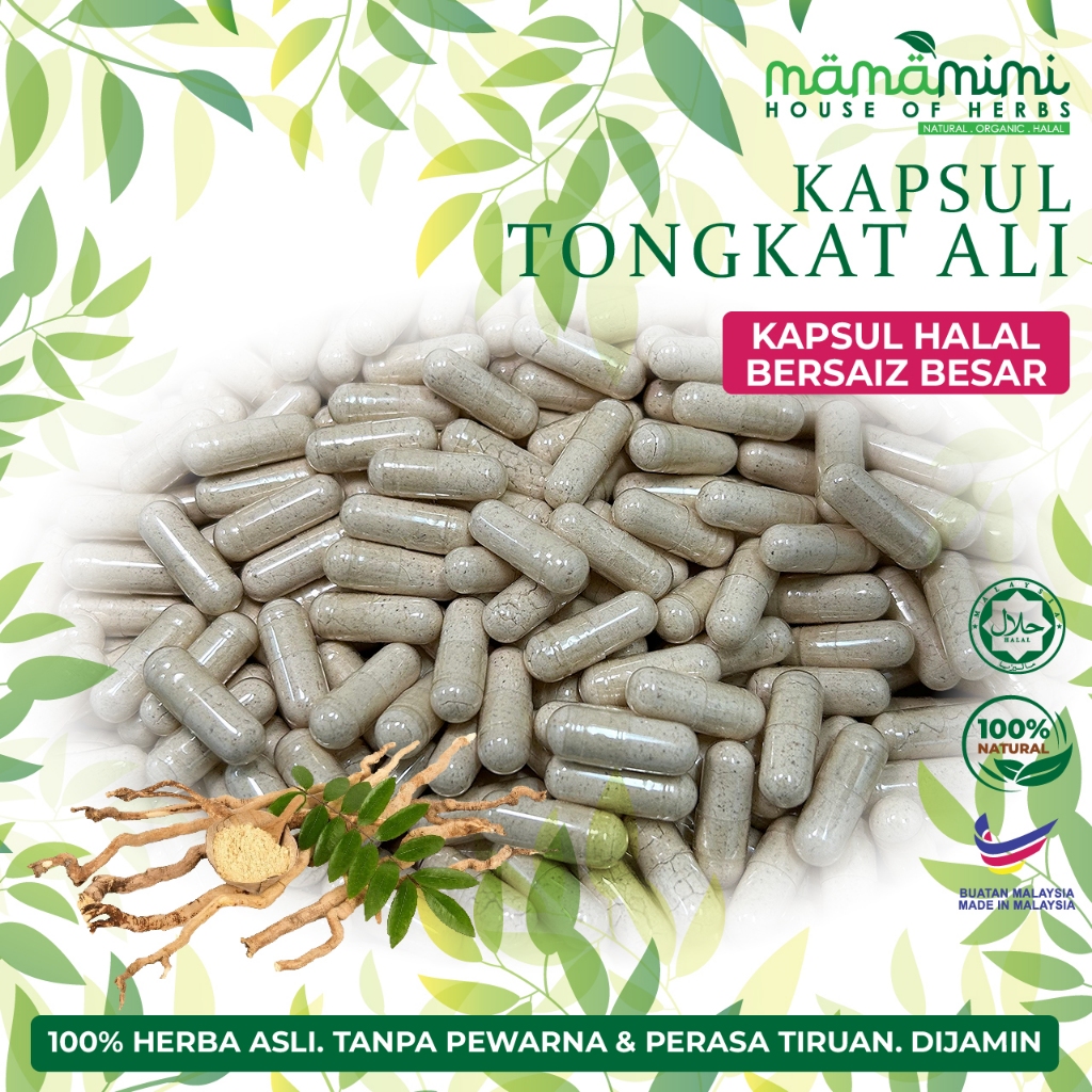 Kapsul Tongkat Ali / Long Jack / Eurycoma Longifolia - (1 BIJI)