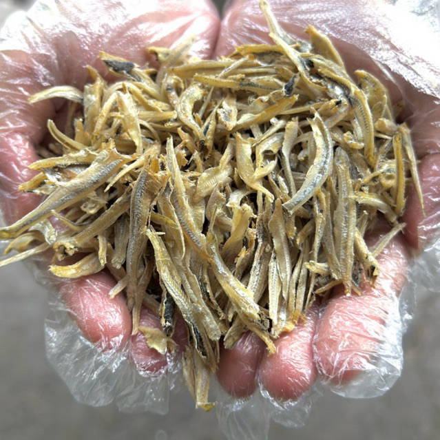 MERDEKA SALES !!!Penang Bean Lam Tanjung Dawai Ikan Bilis Mata Biru Kopek / Belah M size Grade 6A （4cm+-) 本地已拔金线江鱼肉