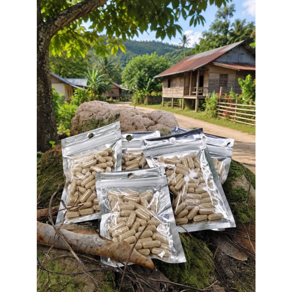 Testosteron Booster (Tongkat Ali + Ubi jaga + Ginseng) Kapsul 100% Orang Kampung Halal