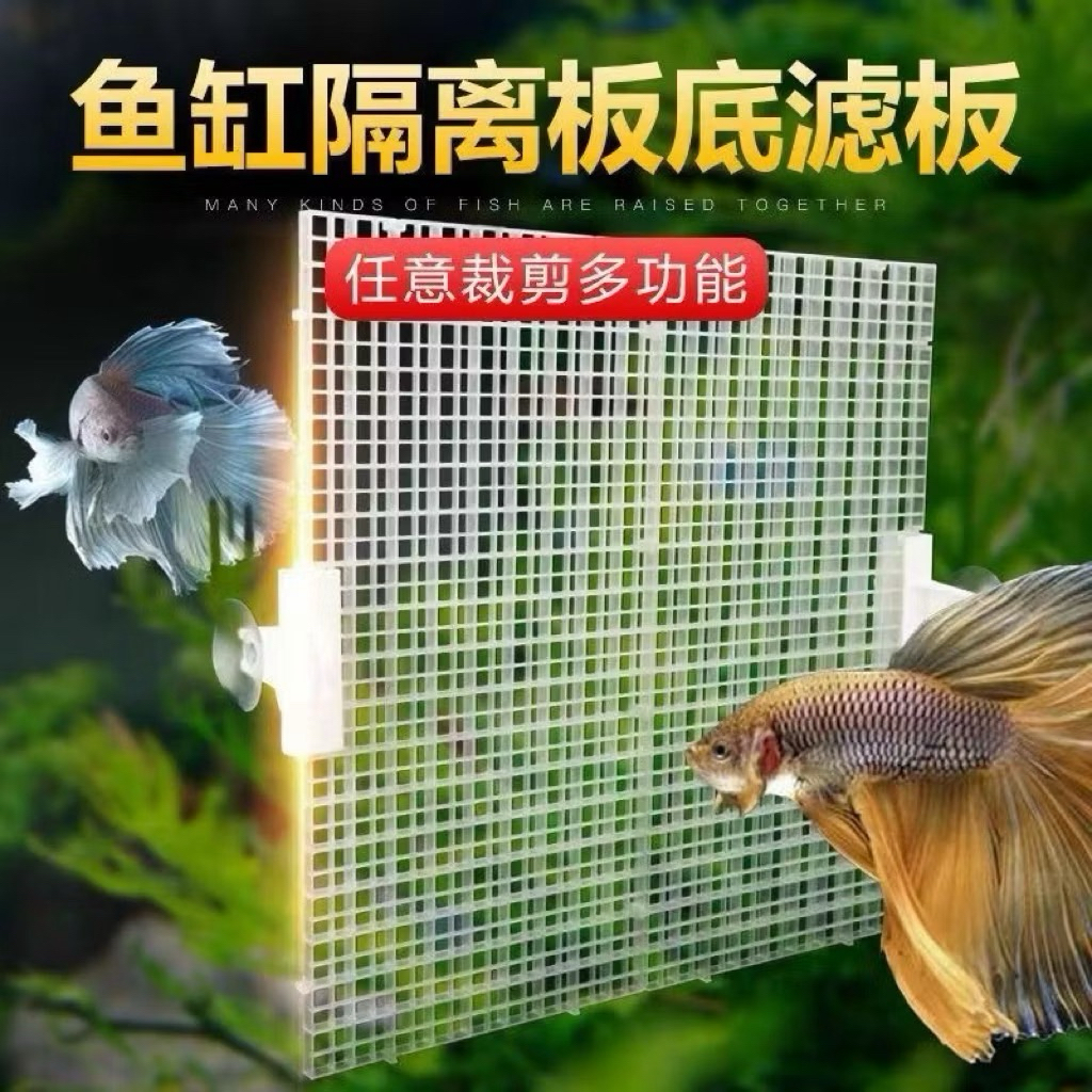 Fish Isolation Board | Ikan Papan Pengasingan | Aquarium Fish Tank | Diy Fish Grid Plat…