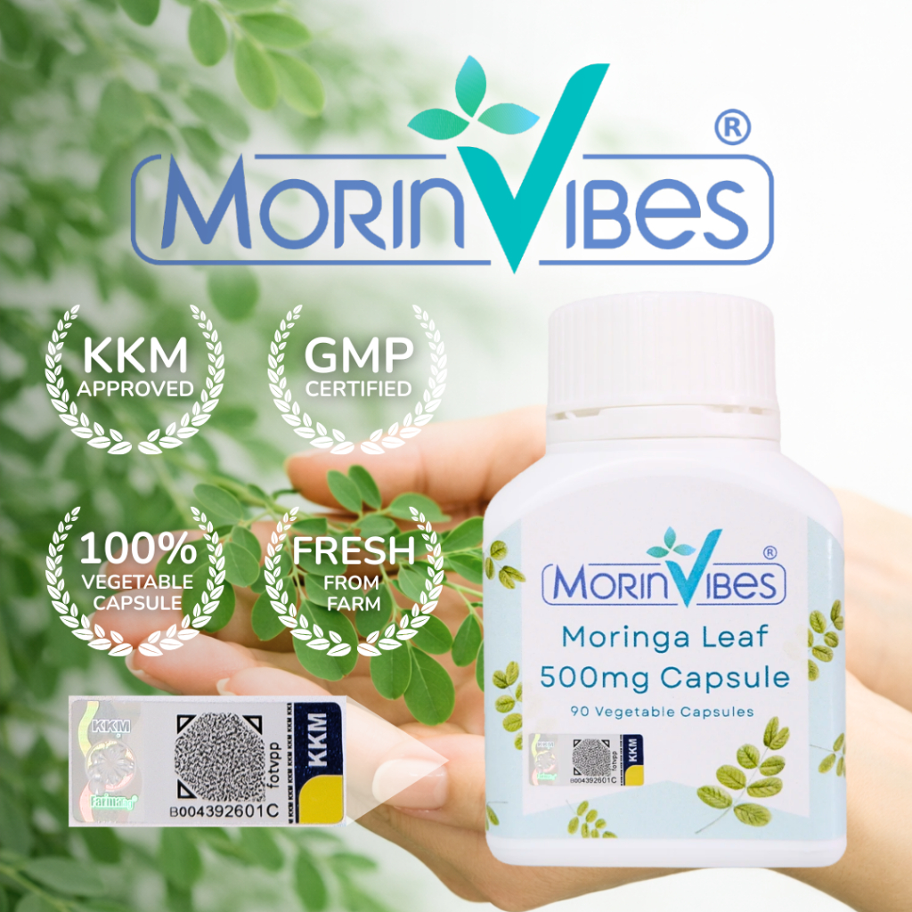 MorinVibes Moringa 500mg 90 Vegetable Capsule | KKM & GMP Certified | Kapsul Daun Kelor | Own Farm