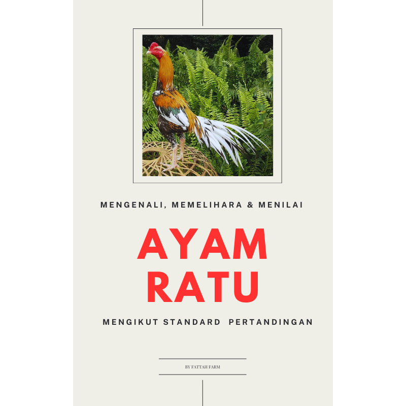 EBOOK PANDUAN LENGKAP AYAM RATU
