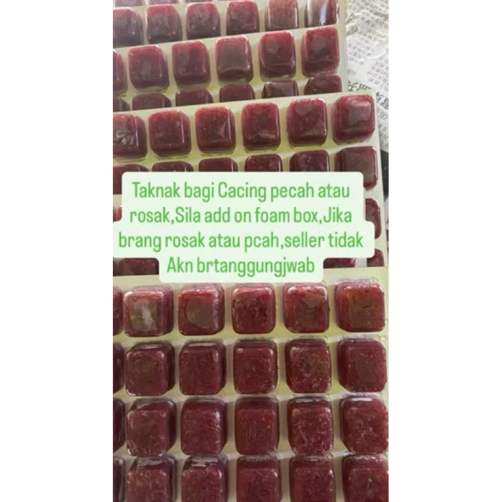 cacing beku (frozen bloodworm)2paket 12.50sen