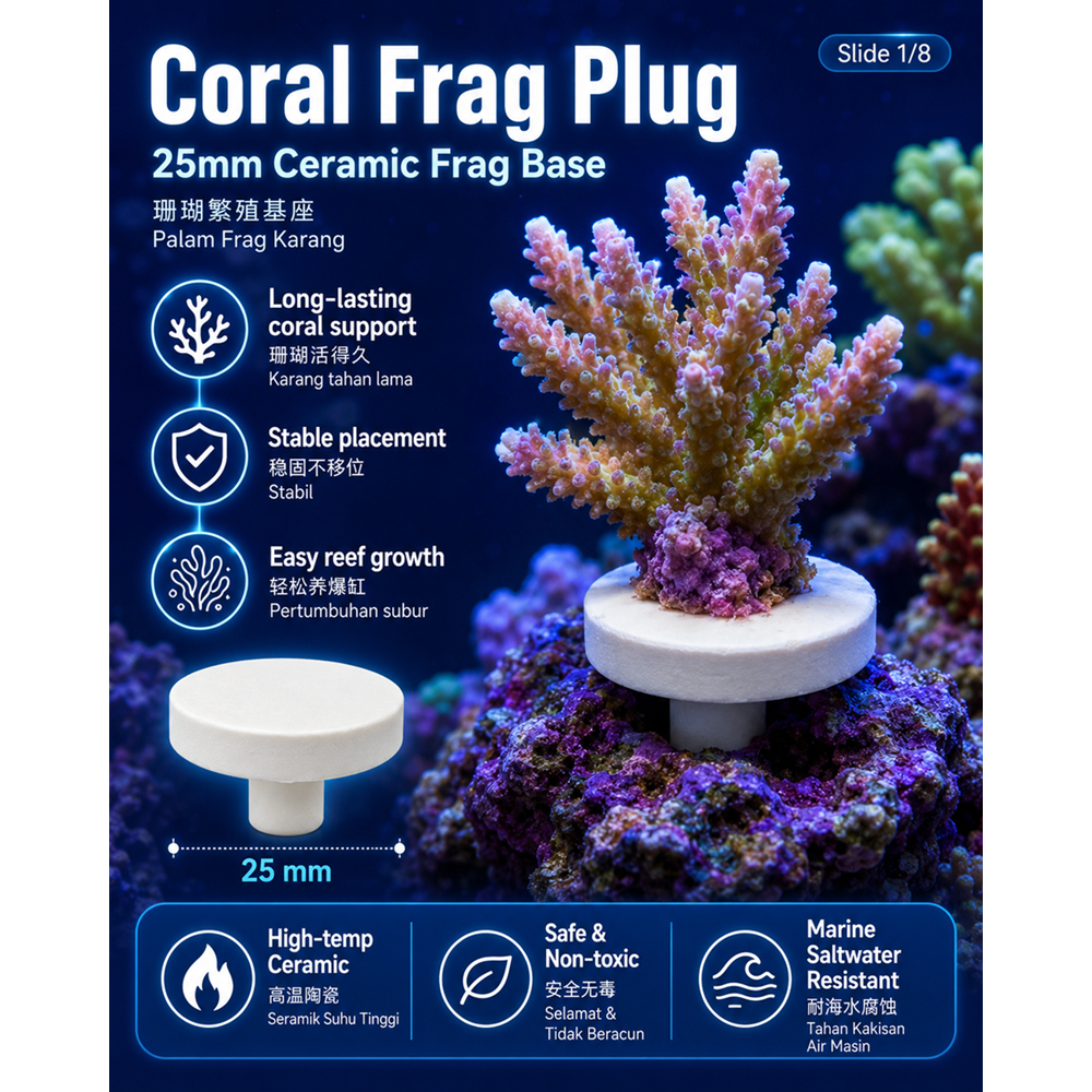 25mm Ceramic Coral Frag Plug for Marine Reef Aquarium / Palam Frag Karang Seramik 25mm Akuarium Laut