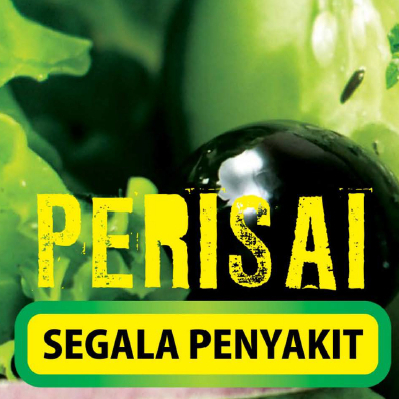 Perisai Segala Penyakit | Ebook Digital Ilmu Kesihatan Tradisional & Amalan Penjagaan Diri | Buku Digital