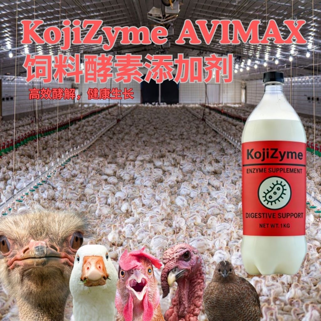 KojiZyme AVIMAX™ Enzim Poultry Hadam Dedak Lebih Baik Jimat Kos Makanan Ayam Itik Angsa Bring Unta Burung Puyuh 1kg