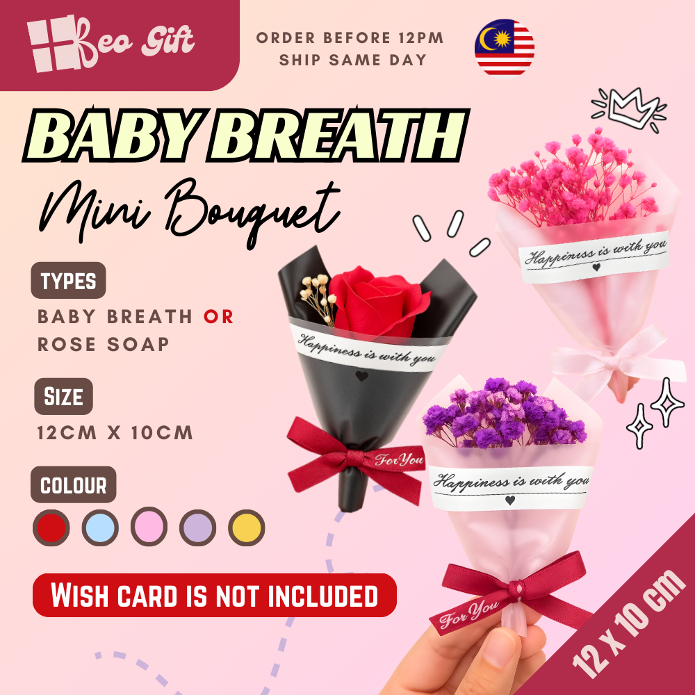 Baby Breath Mini Bouquet Dried Flower Gift Valentine Birthday Teacher Graduation DoorGift Bunga Mini