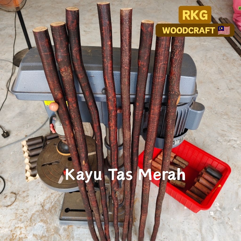 【Tongkat Kayu Tas Merah】 Hujan Panas || Penunduk Gadja (44inci/20inci)