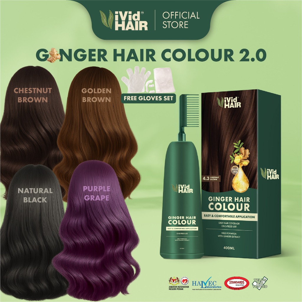 【GINGER HAIR COLOUR】Tutup Uban Hair Dye Telus Air Organic Color Wash Shampoo Sah Solat Cover Grey Fast Hair