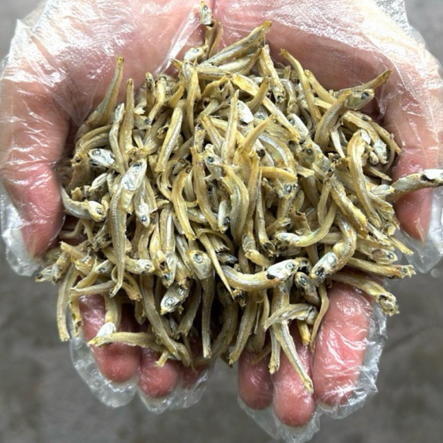 Penang Bean Lam Tanjung Dawai Ikan Bilis Mata Biru Belum Kopek Medium Grade 5A