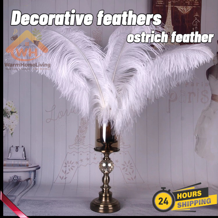 10Pcs-Real ostrich feathers, props, wedding feather decorations / Bulu burung untas