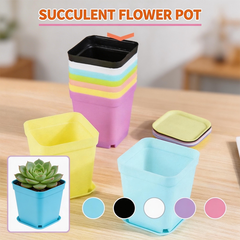 Smooth Finish Ceramic Succulent Pot 8cm with Drip Tray Multi-Colour Stylish Planter for Indoor Home Decor