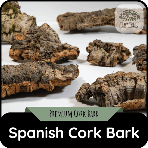 [Premium Thick] Natural Spanish Cork Bark Flat/Round - Sustainable Forest Bark for Isopods
