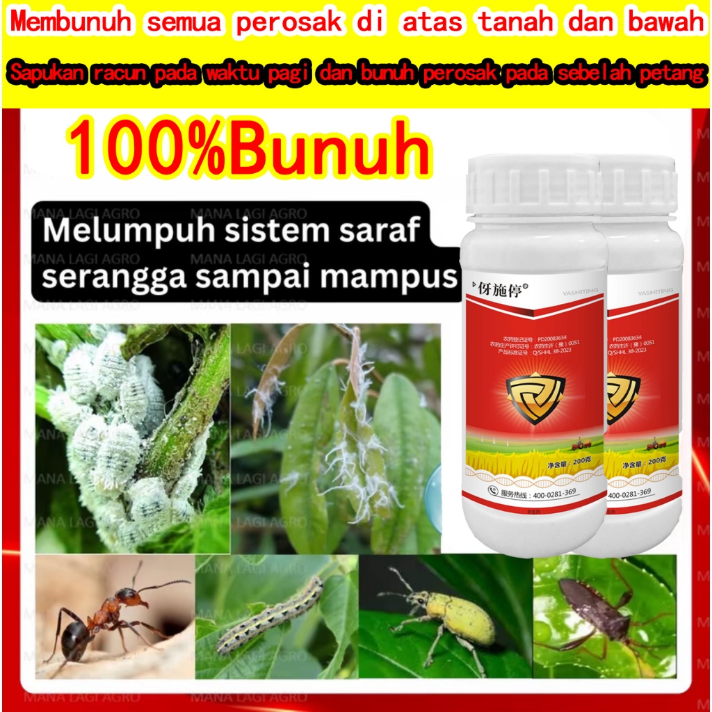 100%Bunuh Racun serangga yang kuat yang membunuh semua perosak tanah dan bawah tanah dalam jarak 10,000 meter. Ia boleh