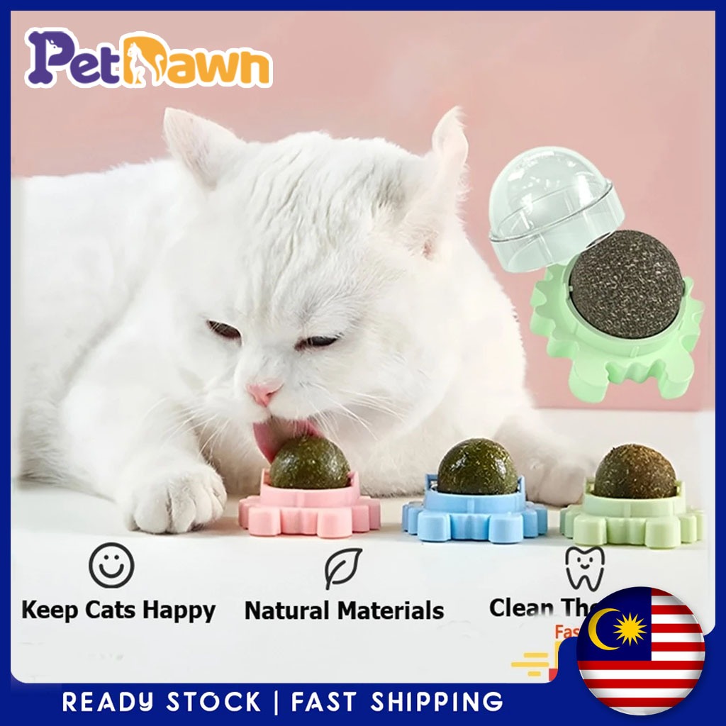 cat mint Catnip ball Hairball Removal cat snack treats toy ball kitten toys